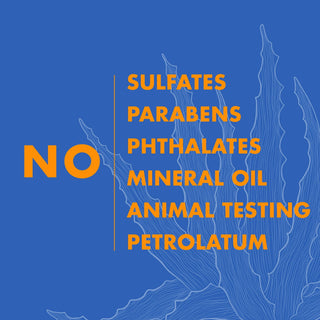 Shea Moisture High Porosity Moisture Replenish Shampoo 384ml