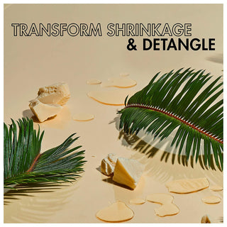 SheaMoisture Shampoo with Red Palm Oil & Cocoa Butter - Detangling Shampoo 384ml