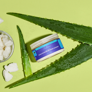 Shea Moisture Aloe Butter Scalp Moisture Pre-Wash Masque 113g