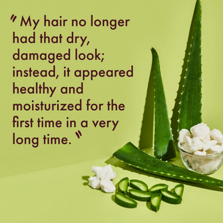 Shea Moisture Aloe Butter Scalp Moisture Conditioner 384ml