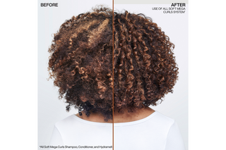 Redken All Soft Mega Curls HydraMelt Leave-In Conditioner 150ml