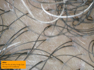 As I Am Dry & Itchy Scalp Care Co-Wash with Olive & Tea Tree Oils 454g