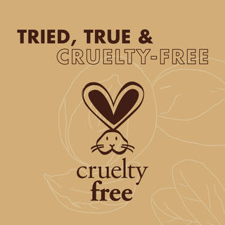 Shea Moisture Raw Shea Butter Hair Care Kit Shampoo 384ml Conditioner 384ml Detangler 237ml