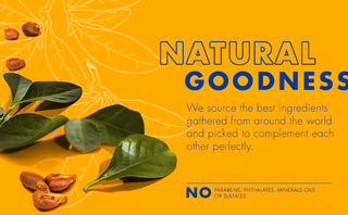 Shea Moisture Low Porosity Weightless Hydrating Shampoo 384ml