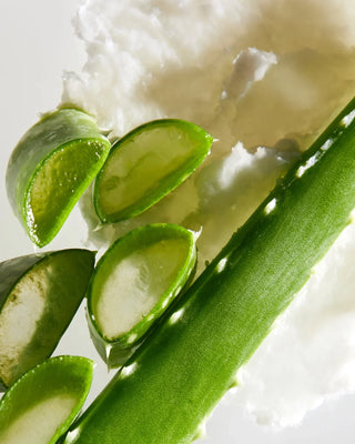 Shea Moisture Aloe Butter Scalp Moisture Conditioner 384ml